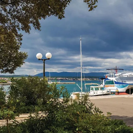 Pet Friendly In Krk